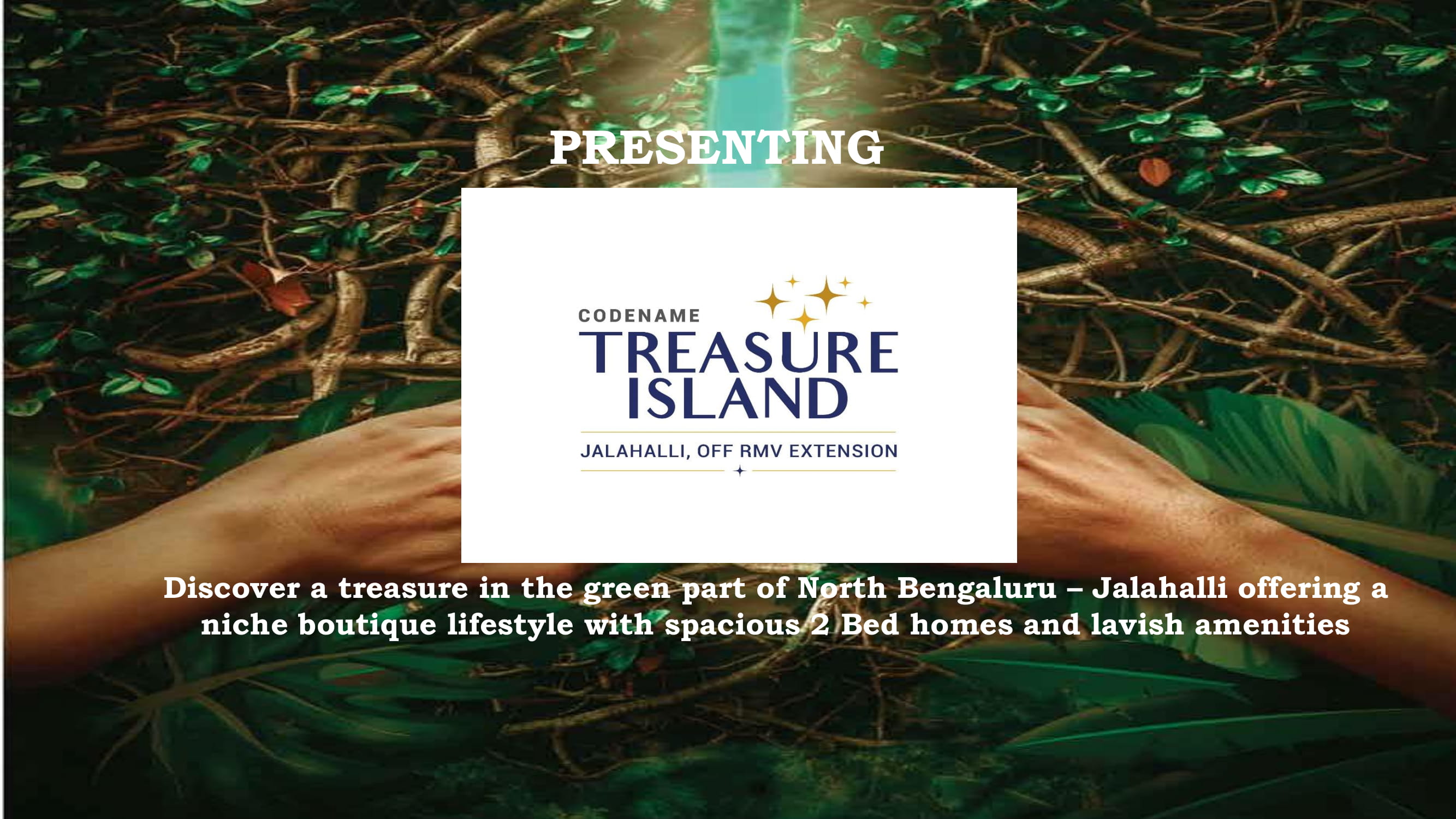 Treasure Island PITCH-01